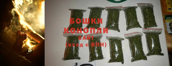 шишки Арсеньев