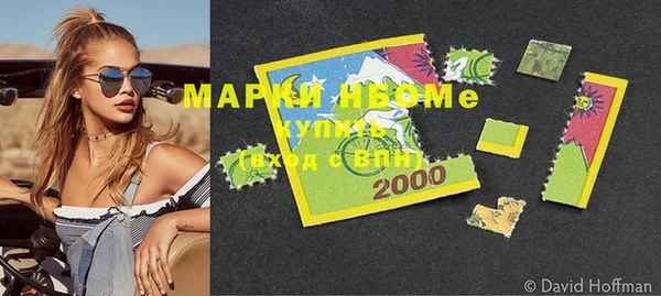 шишки Арсеньев