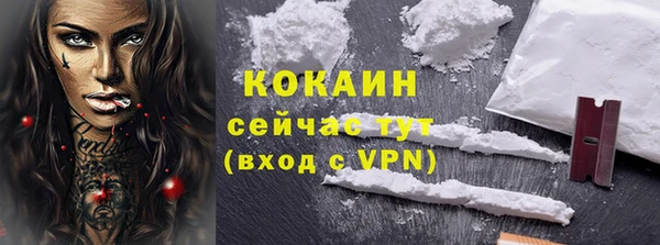 шишки Арсеньев