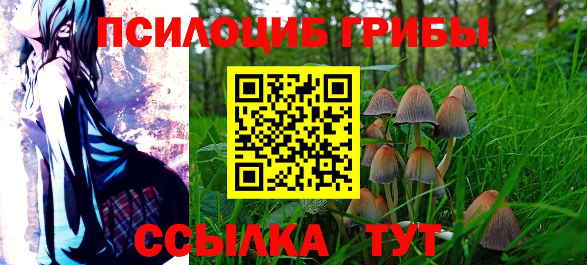 Елабуга  Псилоцибиновые грибы Psilocybe  Галлюциногенные грибы Psilocybe  купить  сайты  Вход с VPN 