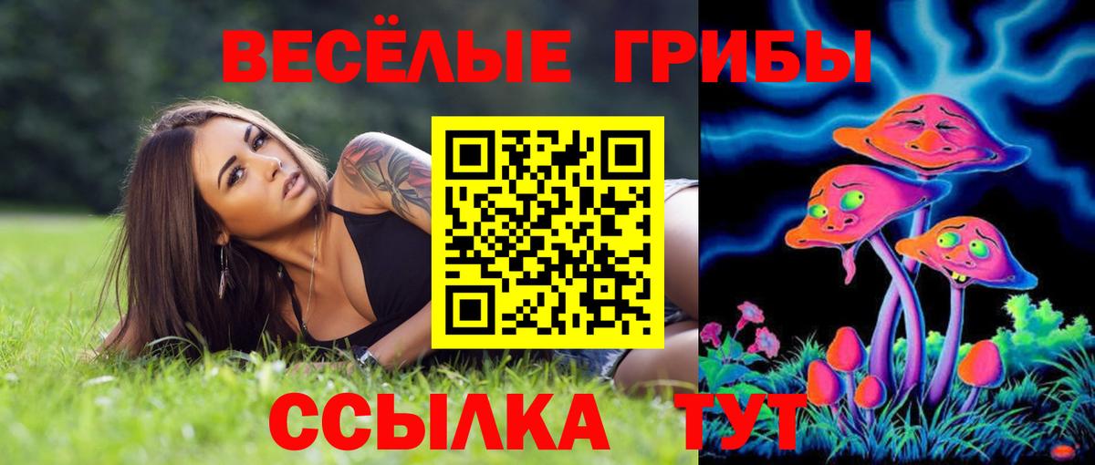 Галлюциногенные грибы Psilocybe Елабуга